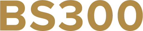 BS300